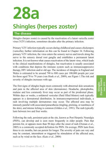 Green Book chapter 28a: shingles (herpes zoster) - Gov.UK