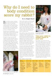 Why do I need to body condition score my rabbit? - Rabbit Welfare ...