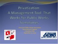 Privatization - American Public Works Association