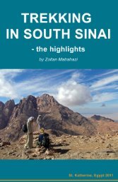 Untitled Discover Sinai