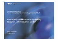 Erneuerung der Hochspannungsleitung Niederwil â Hermetschwil ...