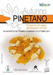 Autunno PINETANO - Strade del Vino e dei Sapori del Trentino