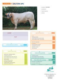 CHAROLAIS FRANCAIS NEW - Sersia France