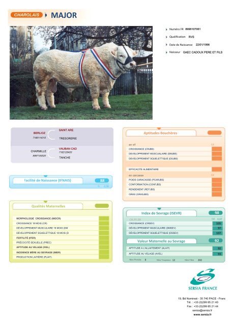 CHAROLAIS FRANCAIS NEW - Sersia France