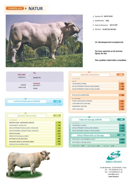 CHAROLAIS FRANCAIS NEW - Sersia France