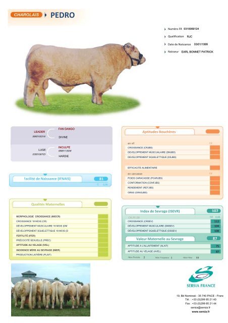 CHAROLAIS FRANCAIS NEW - Sersia France