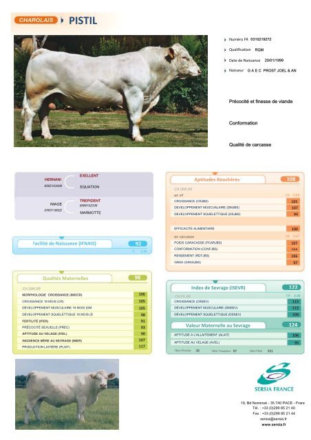 CHAROLAIS FRANCAIS NEW - Sersia France