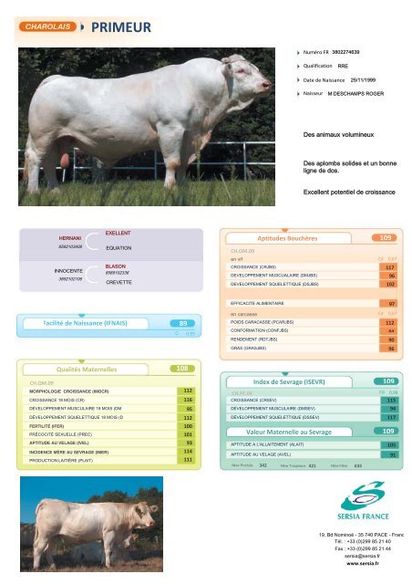 CHAROLAIS FRANCAIS NEW - Sersia France