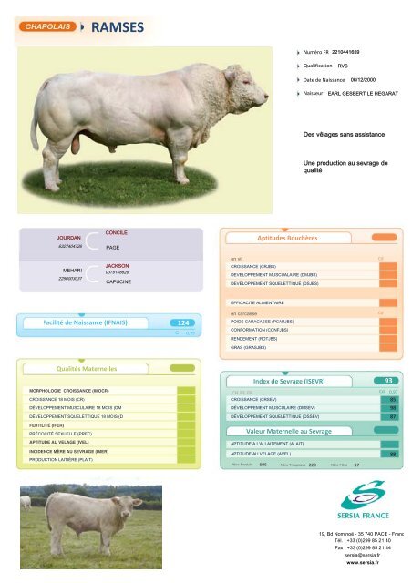 CHAROLAIS FRANCAIS NEW - Sersia France