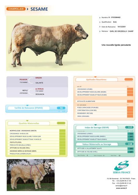 CHAROLAIS FRANCAIS NEW - Sersia France