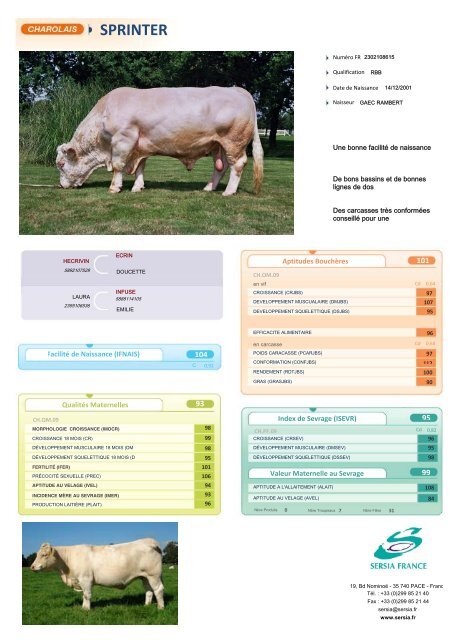 CHAROLAIS FRANCAIS NEW - Sersia France