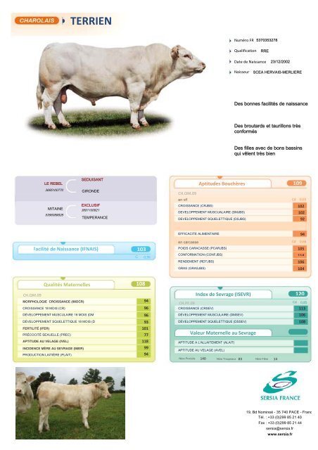 CHAROLAIS FRANCAIS NEW - Sersia France