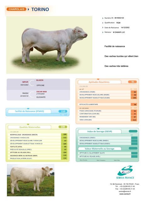 CHAROLAIS FRANCAIS NEW - Sersia France