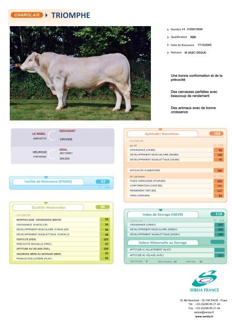 CHAROLAIS FRANCAIS NEW - Sersia France