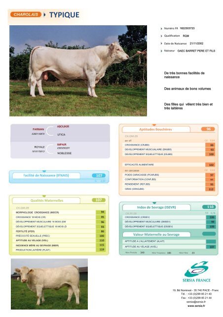 CHAROLAIS FRANCAIS NEW - Sersia France