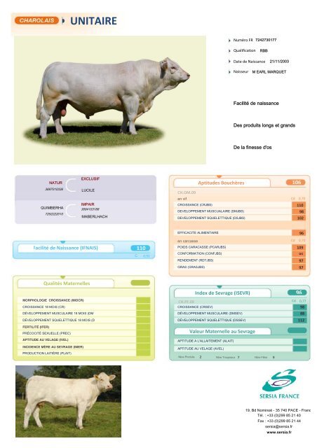 CHAROLAIS FRANCAIS NEW - Sersia France