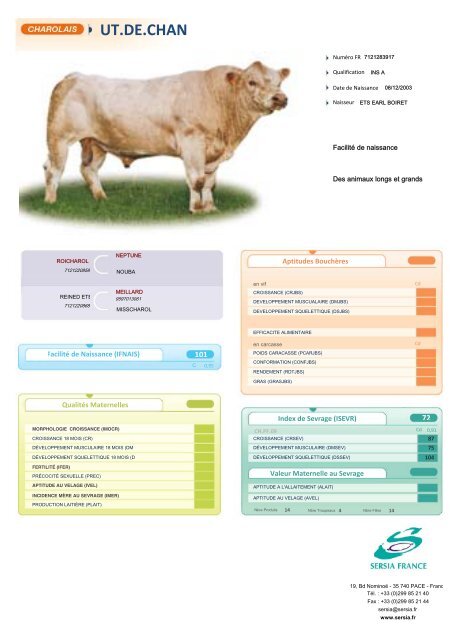 CHAROLAIS FRANCAIS NEW - Sersia France