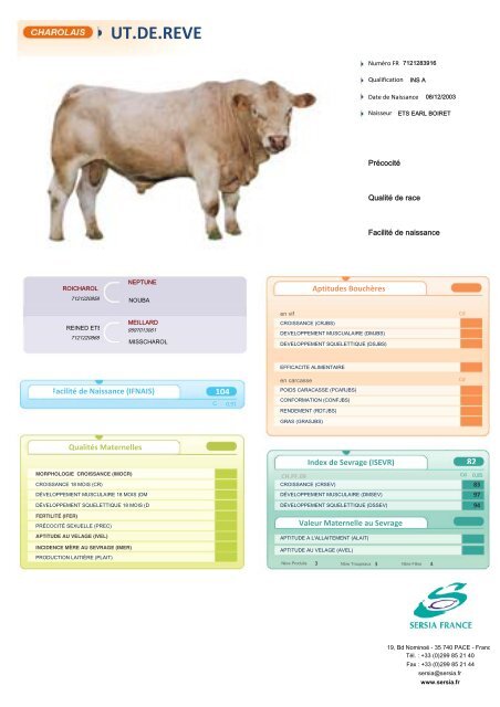 CHAROLAIS FRANCAIS NEW - Sersia France