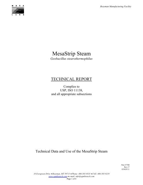 MesaStrip Steam - Mesa Labs