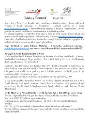 Llais y Pentref Ebrill 2011 - Llanpumsaint Community Information ...