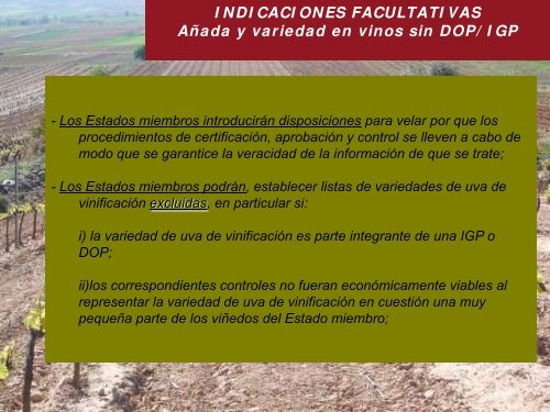 ocm vino. dop / igp etiquetado - Cooperativas Agro-alimentarias