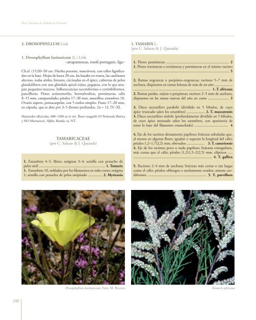 Flora Vascular de AndalucÃ­a Oriental - Biblioteca digital del Real ...