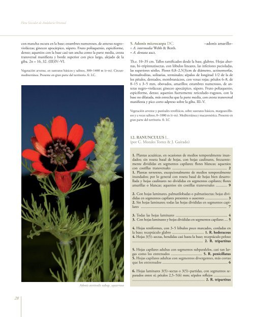 Flora Vascular de AndalucÃ­a Oriental - Biblioteca digital del Real ...