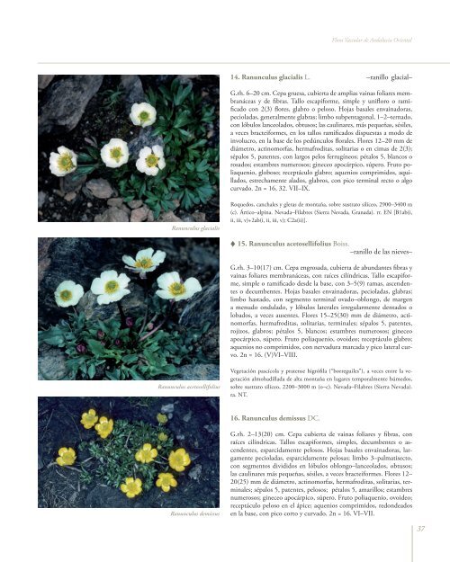 Flora Vascular de AndalucÃ­a Oriental - Biblioteca digital del Real ...