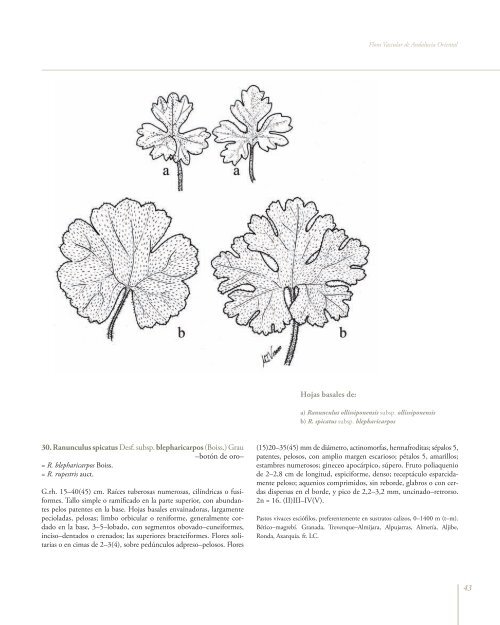 Flora Vascular de AndalucÃ­a Oriental - Biblioteca digital del Real ...