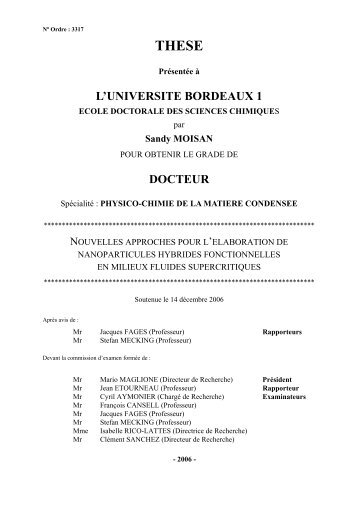 Nouvelles approches pour l'Ã©laboration de nanoparticules hybrides ...