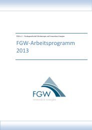 FGW-Arbeitsprogramm 2013