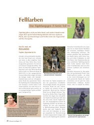 Fellfarben