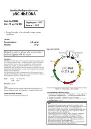 pNC-HisE DNA - è£½åä¸è¦§ï½ã¿ã«ã©ãã¤ãªæ ªå¼ä¼ç¤¾ éºä¼å­å·¥å­¦ç ç©¶ ...