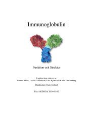 Immunoglobulin