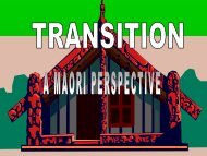 Transition Maori Perspective