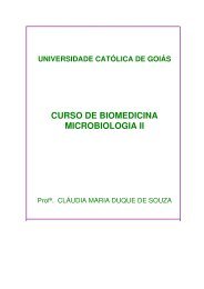 Apostila de Microbiologia II.pdf - Ucg