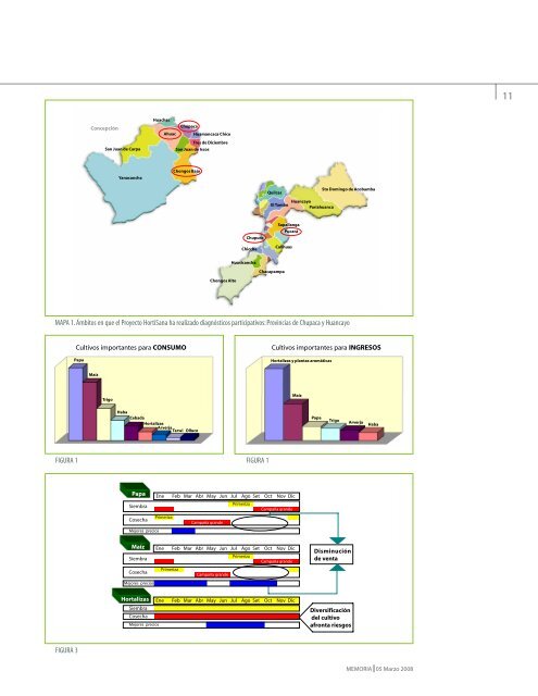 HortiSana Horticultura sana y sustentable en los ... - Biblioteca Verde