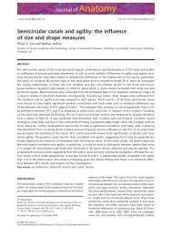 Semicircular canals and agility: the influence of size and shape ...