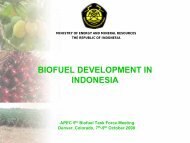 ESDM - APEC Biofuels