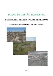 PLANO DE GESTÃƒÂƒO FLORESTAL - ICNF