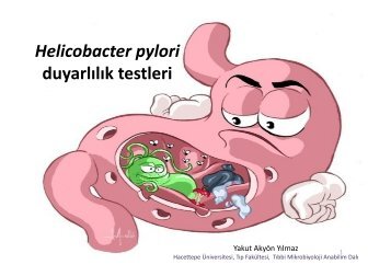 Helicobacter pylori duyarlılık testleri, Yakut Akyön Yılmaz