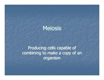 Meiosis PPT