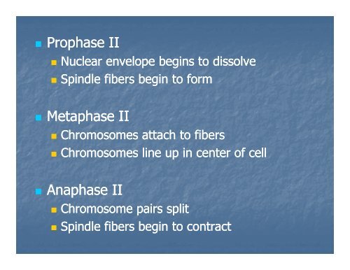 Meiosis PPT