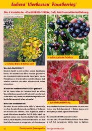 Katalog Beeren 2012 - Lubera