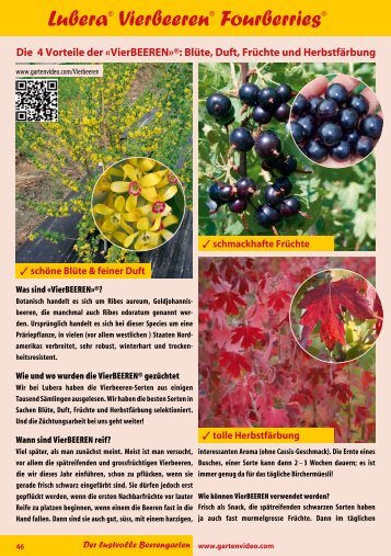 Katalog Beeren 2012 - Lubera