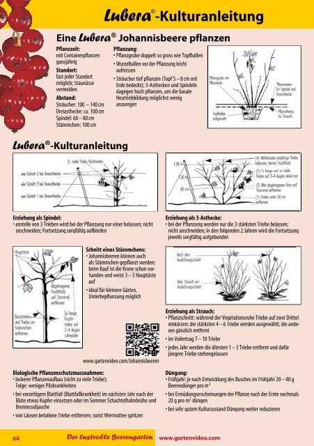 Katalog Beeren 2012 - Lubera