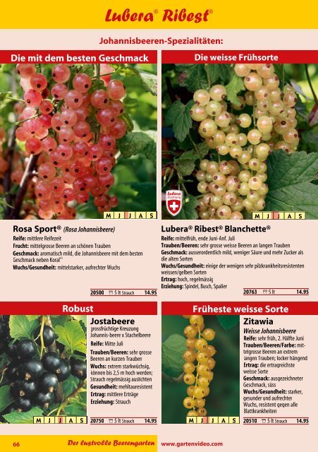 Katalog Beeren 2012 - Lubera