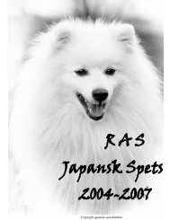 Japansk Spets