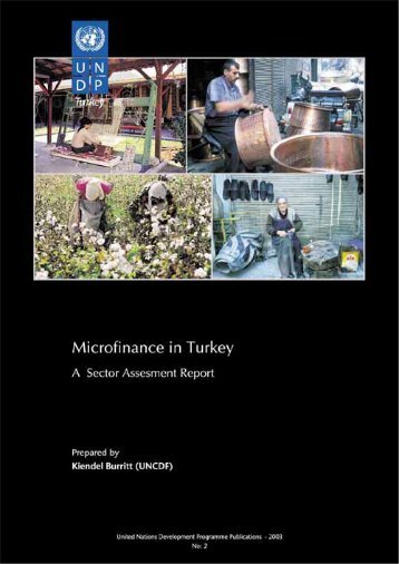 Microfinance Sector Assessment Report - UNDP in Turkey