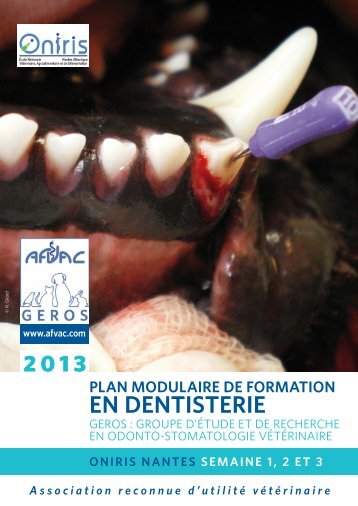 plan modulaire de formation en dentisterie - AFVAC